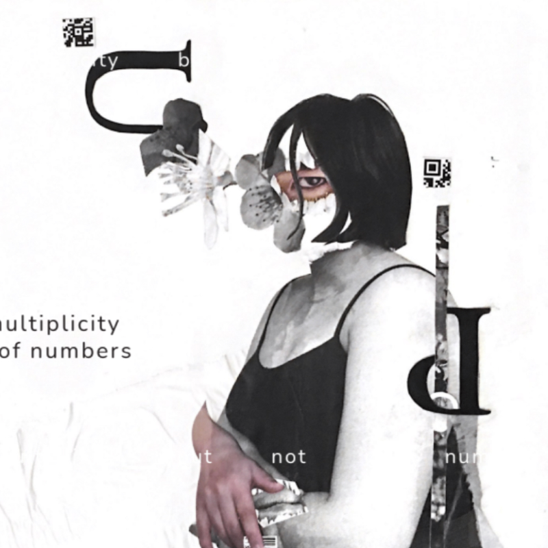 A collage of a girl with one eye and the text reads'I am a multiplicity but not of numbers'